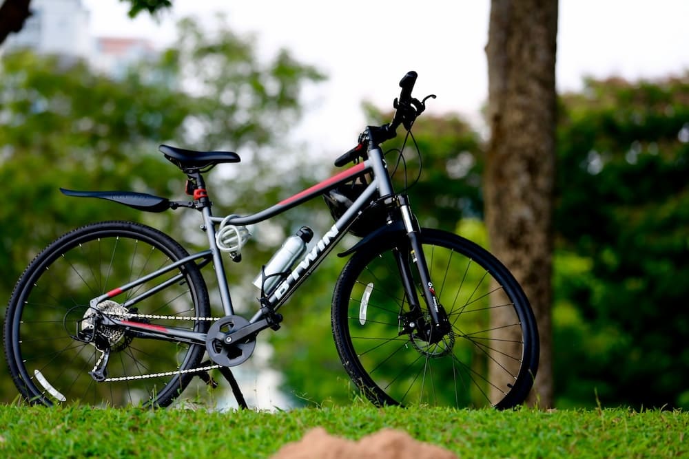 Top 13 Scenic Cycling Routes In Singapore To Explore