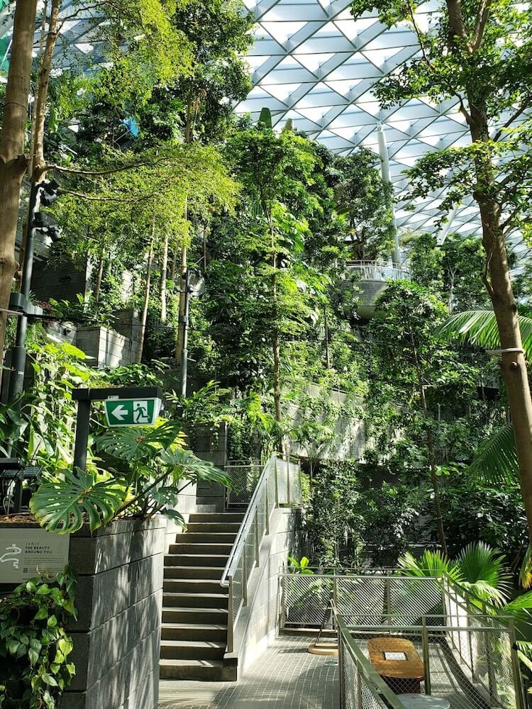 Top 9 Spots To Enjoy A Picnic Indoors In Singapore
