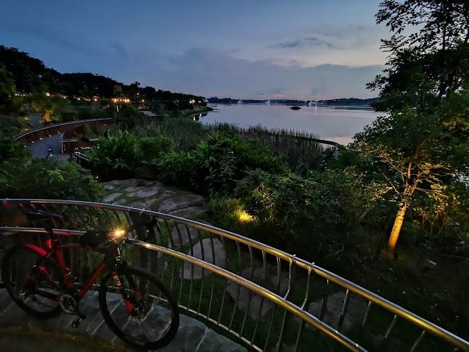 Night Cycling Singapore 101: Top 10 Routes After Dark